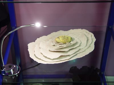 Schlüpfen I – Porzellan, Ton, Pigmente