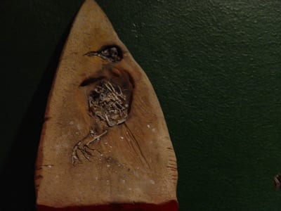 Toter Phönix – Ton, Knochen