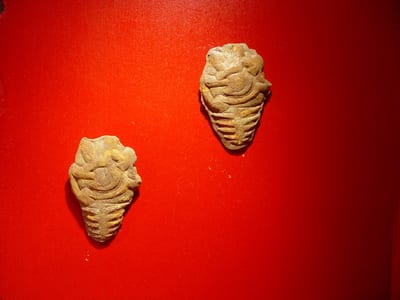 Sonnenschild I & II – Porzellan, Ton, Pigmente